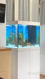 Juwell 200 litri (Cubo)