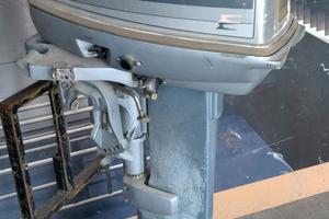 Evinrude 25 (521cc) fuoribordo