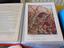 Immagine 3