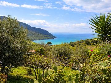 Casa vacanze Agropoli Cilento con vista mare