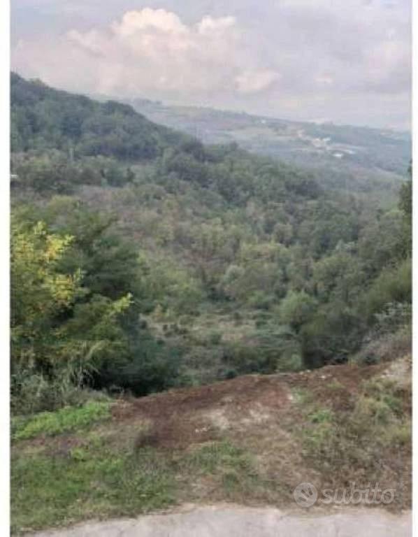 Immobile in asta di 15089 m² a Ruvo del Monte - Vista 3