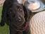 Immagine 4