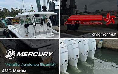 Mercury v6 3.4 cc 225 hp