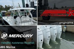 Mercury v6 3.4 cc 225 hp