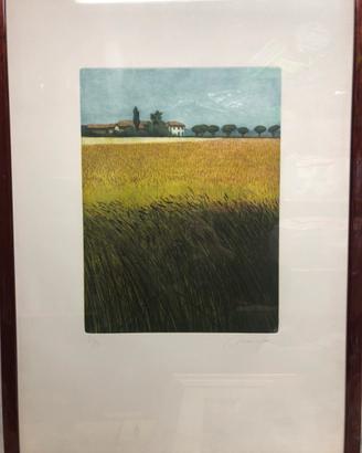 Quadro in acquatinta Oliviero Masi