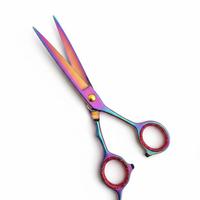 Forbici Professionali per Capelli Rainbow(Iride)6"