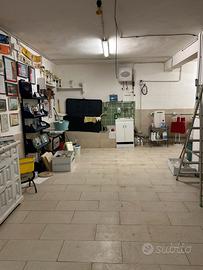 Seminterraneo latina