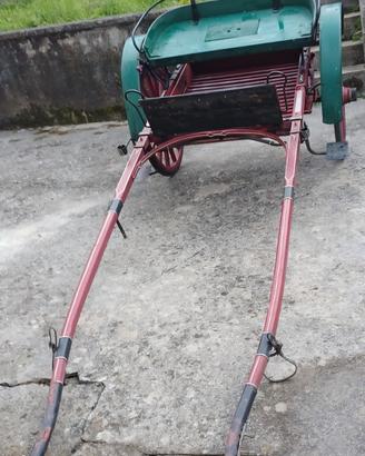 animali cavallo