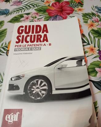 libro di scuola guida 