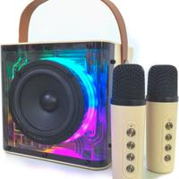 Karaoke Portatile Cassa Bluetooth 2 Microfoni Led