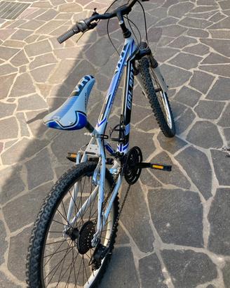 Mountain bike Galant