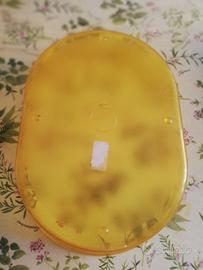 acquario per tartarughe 