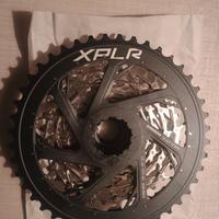 Pacco Pignoni XG1271 e XG1150