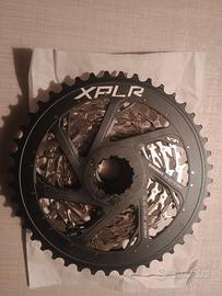 Pacco Pignoni XG1271 e XG1150