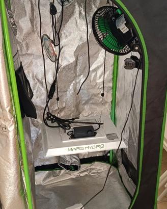 Box indoor completo