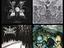 Immagine 5