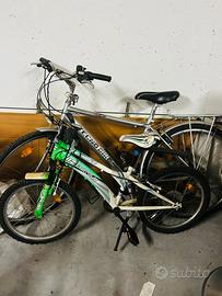Bici adulto
