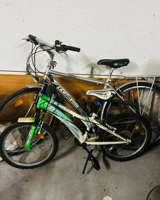 Bici adulto