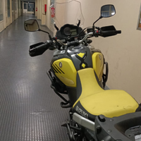 Suzuki v strom 1000