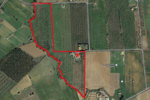 Azienda Agricola - Grosseto