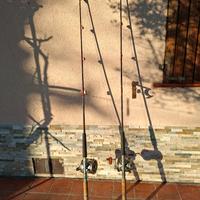 canne da pesca