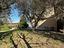 Immagine 9