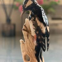 GOEBEL - Picchio rosso maggiore