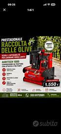 PRESTAGIONALE RACCOLTA OLIVE