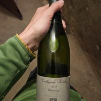 Isole olena Collezione privata Chardonnay 