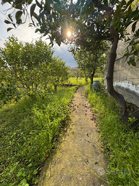 Terreno pianeggiante