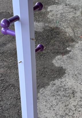 Matutone attacapanni lilla