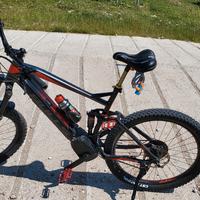 Ebike Bulls