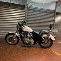 Harley davidson low 883