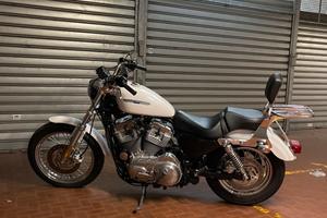 Harley davidson low 883