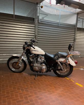 Harley davidson low 883