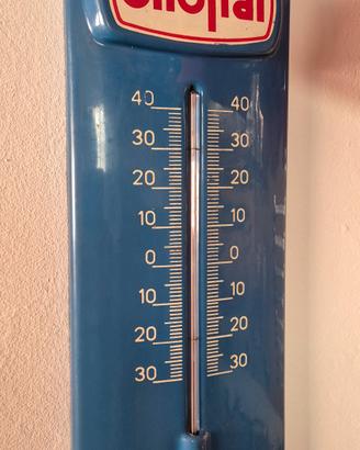 insegna 