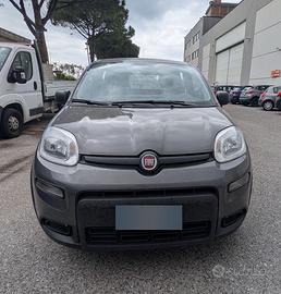 Fiat panda n1