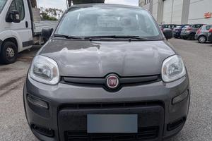 Fiat panda n1