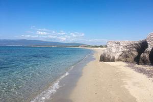 Sardegna - Sa Rocca Tunda(OR) Prima fila