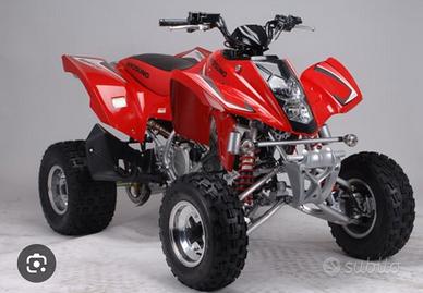 Ricambi quad hyosung/goes 450