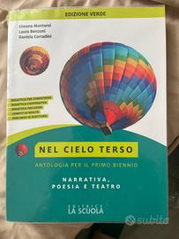 Libro nel cielo terso