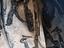Immagine 15