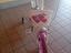 Immagine 2