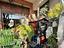Immagine 26
