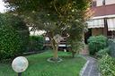 villa-a-schiera-a-san-fermo-della-battaglia