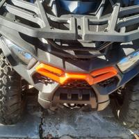 Quad goes 200 cc