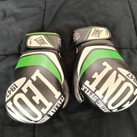 Guantoni pugilato 10oz