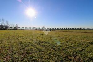 TER. AGRICOLO A ADRO