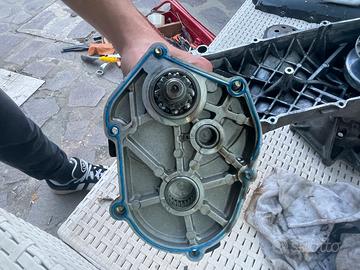 copri rapporti polini