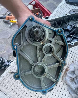 copri rapporti polini